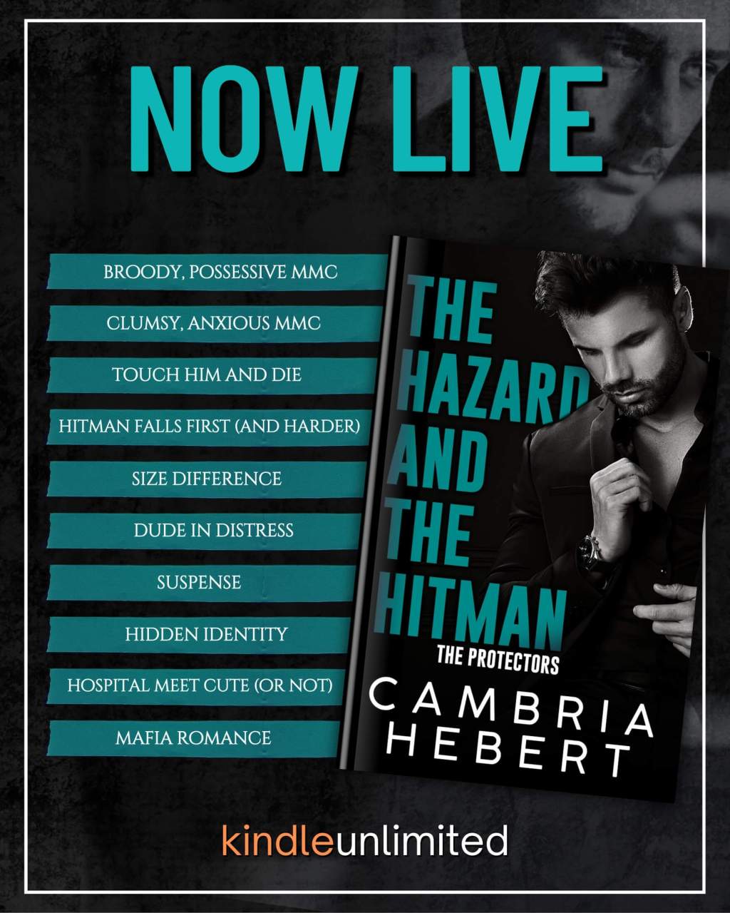 Review: The Hazard and the Hitman by Cambria&nbsp;Hebert